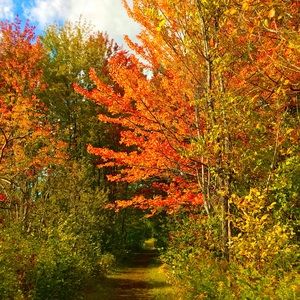 Meet your Posher, Karine